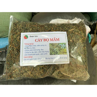 500g Cây bọ mắm ( dòi thân tím ) khô sạch mới