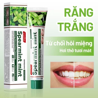 Kem đánh răng bạc hà 100g, Kem đánh răng làm trắng răng, Làm mới và khử mùi hôi miệng, Loại bỏ cao răng