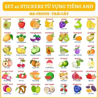 🔥SET 42 STICKERS - CHỦ ĐỀ RAU CỦ QUẢ / CÂY HOA🔥