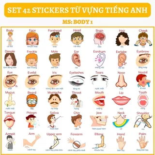 🔥SET 42 STICKERS - CHỦ ĐỀ BODY CƠ THỂ🔥