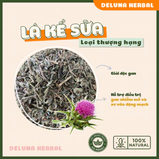 Lá cây kế sữa thượng hạng Milk Thistle giúp bảo vệ giải độc gan Deluna Herbal