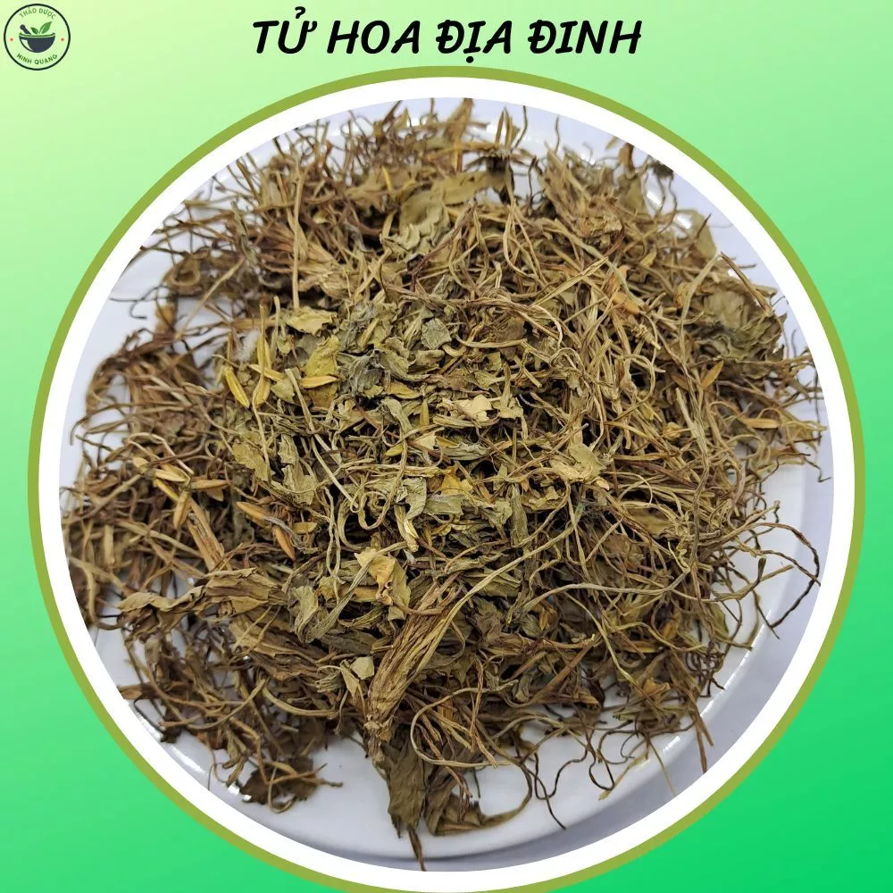 Tử Hoa Địa Đinh, túi 100gr, cây khô, loại sạch