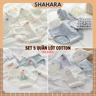 Set 5 quần lót nữ cotton nguyên chất kháng khuẩn, chất liệu co dãn thoáng khí Shahara