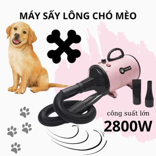 Máy sấy lông thú cưng chó mèo công suất lớn 2800W, sấy thổi khô nhanh với gió ấm