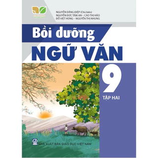 Sách - Bồi dưỡng ngữ văn 9 tập hai ( Kết nối tri thức với cuộc sống )