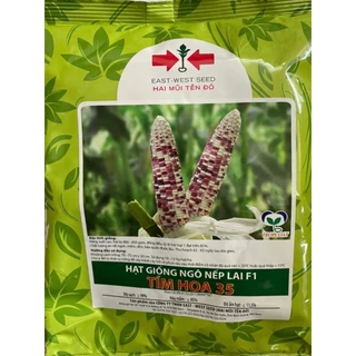 Hạt giống ngô (bắp) nếp lai F1 TÍM HOA 35 Hai Mũi Tên Đỏ gói 500gram