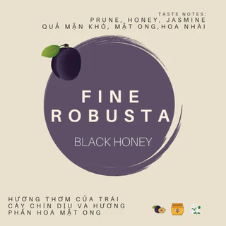 Cà phê Fine Robusta [Prune] Gia Lai Việt Nam - Black Honey - Rang Vừa