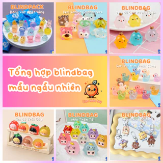 Tổng hợp Blind pack/ túi mù nhân phẩm nhiều mẫu/nhân vật, sưu tầm charm quà tặng(mẫu ngẫu nhiên)