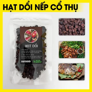 100g Hạt Dổi Nếp Rừng Cổ Thụ Tây Bắc Loại 1 (Thơm Nức Mũi)