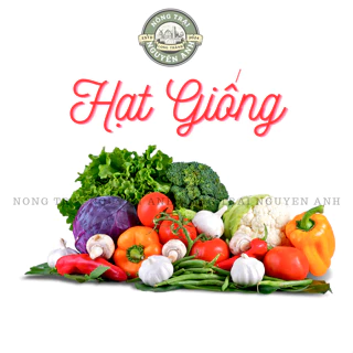 [HẠT GIỐNG] Rau củ quả 🌿🍉🍇- Nông Trại Nguyên Anh