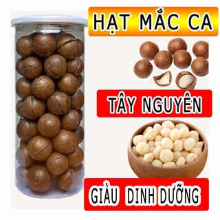 500g Hạt Mắc Ca Sấy - Hạt MacCa Tây Nguyên