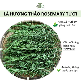 Lá xạ hương Thyme, hương thảo Rosemary tươi, khô 10-30gr hàng miền Bắc - gia vị hương liệu thảo mộc
