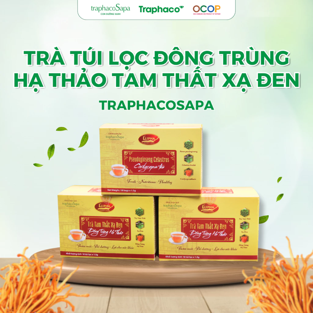 Trà Túi Lọc Đông Trùng Hạ Thảo Tam Thất Xạ Đen TRAPHACOSAPA Tăng Đề Kháng Tốt Cho Tim Mạch Hộp 18 Túi Lọc