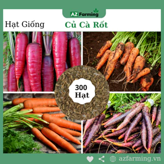 Hạt Giống Củ Cà Rốt - Gói 300 Hạt - AZ Farming