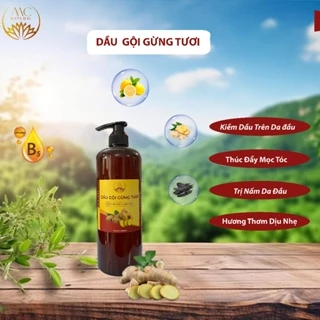 DẦU GỘI GỪNG TƯƠI 1000ML TIỆN LỢI SPA DƯỠNG SINH