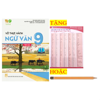 Sách - Vở thực hành ngữ văn 9 - tập 2 ( kết nối tri thức )