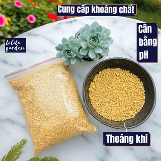 Đất KANUMA cho sen đá và xương rồng