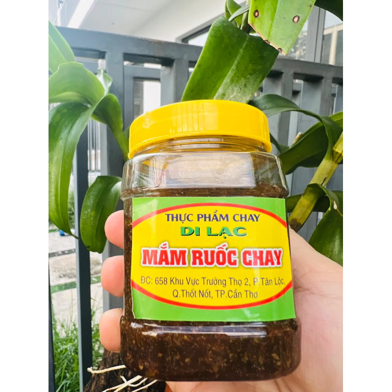 1 HỘP MẮM RUỐC CHAY / tiện lợi rất ngon