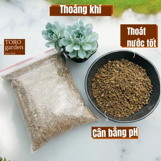 ĐÁ PUMICE (1kg) 🌑 SIÊU PHẨM CHO SEN ĐÁ, XƯƠNG RỒNG 🌵