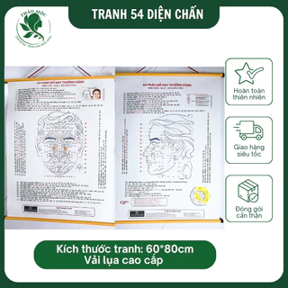 Combo 2 Tranh 54 Đồ Hình Phản Chiếu Diện Chẩn Chính Hãng