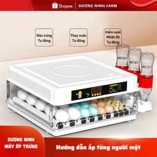 Máy ấp trứng gà mini, ấp trứng cao cấp, máy ấp trứng gà tự động ấp trứng gia đình 220V VS 12V MAT