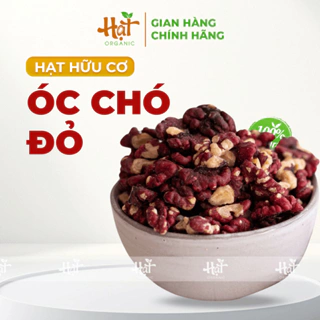 NHÂN ÓC CHÓ ĐỎ - NẤU SỮA HẠT, LÀM ĐỒ ĂN - ĐÓNG GÓI CHÂN KHÔNG 500G