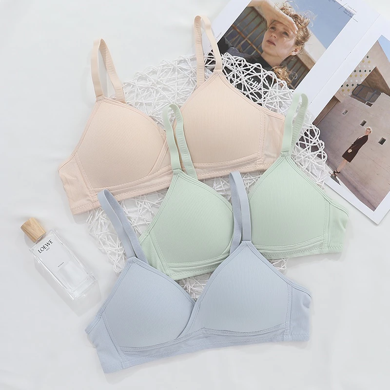 Áo ngực không gọng cotton - Áo lót nữ 3 nấc cài mút mỏng ZANA BRA A919