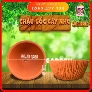 Chậu đất nung - Chậu trồng sen đá, xương rồng, cây để bàn - Chậu gốc cây nhỏ miệng 11.5cm, cao 5cm