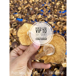 Nấm hương siêu to, VIP, 500gr