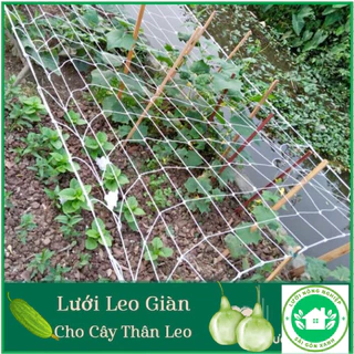 Lưới làm giàn leo, lưới giàn mướp - Khổ cao 2 mét