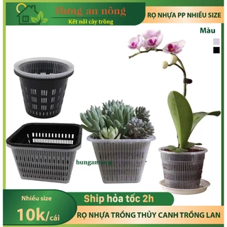 Chậu nhựa trồng lan, trồng thủy canh và các loại cây khác nhiều size ( xem trong mô tả )