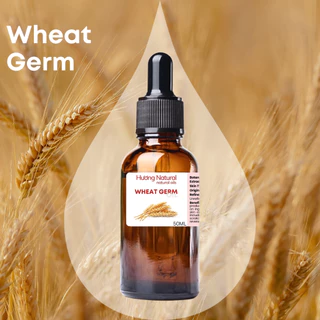 Organic dầu mầm lúa mạch Wheat Germ oil hữu cơ nguyên chất