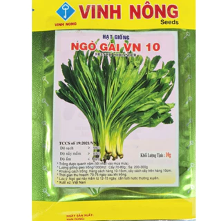 Hạt giống Ngò Gai Lá Dài (10g)