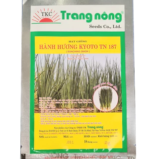 Hạt Giống Hành Cao Sản - Hành Hương (2g)