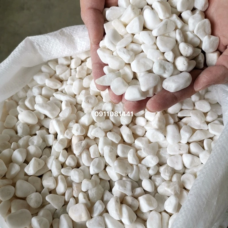 Sỏi trắng trang trí - 500g decor chậu cây.