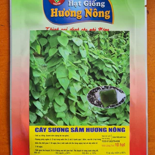 Hạt Giống Sương Sâm (10 hạt)