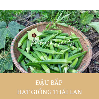 Hạt giống đậu bắp cao sản Thái Lan