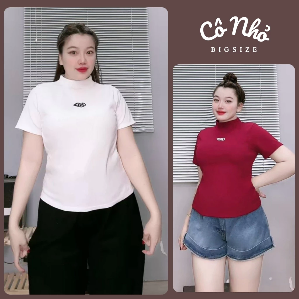 Áo thun babytee tay ngắn nữ bigsize cổ lọ dáng ôm vừa màu basic thời trang dễ phối sang chảnh cho chuppy G234