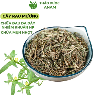 Cây Rau Mương khô uống giảm HP dạ dày Cây Rau Máng Mương khô đã làm sạch thơm không vụn CRM Thảo Dược Anam