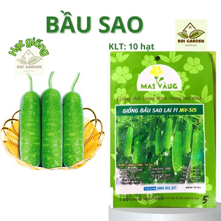 Hạt giống Bầu sao F1 (51)