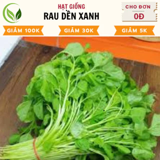 Hạt Giống Rau Dền Xanh - Chất Lượng Cao, Dễ Trồng, Năng Suất Tốt