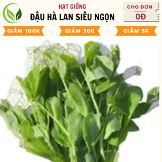 Hạt Giống Đậu Hà Lan Siêu Ngọn - Chất Lượng Cao, Dễ Trồng, Năng Suất Tốt