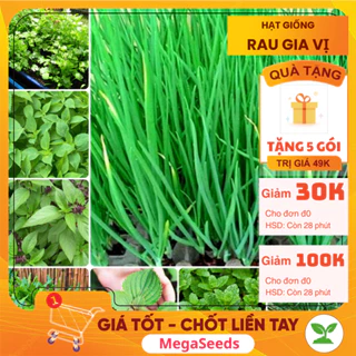 🌱 𝙁𝙍𝙀𝙀 𝙎𝙃𝙄𝙋 🌱  Hạt giống Rau Thơm, Rau Gia Vị dễ trồng, dễ chăm sóc, trồng quanh năm