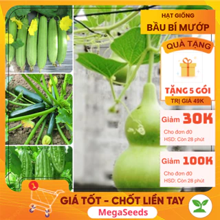 🌱 𝙁𝙍𝙀𝙀 𝙎𝙃𝙄𝙋 🌱 Hạt giống MƯỚP HƯƠNG, MƯỚP ĐẮNG, BẦU, BÍ NGỒI các loại, nảy mầm tốt