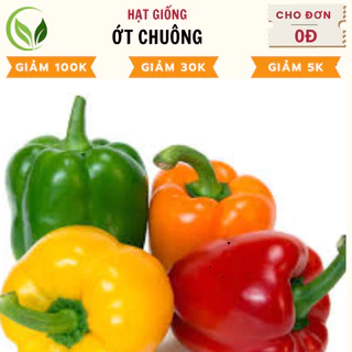 Hạt Giống Ớt Chuông  - Chất Lượng Cao, Dễ Trồng, Năng Suất Tốt