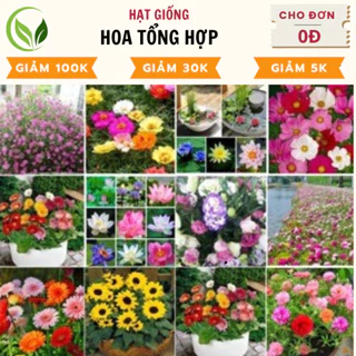 Hạt Giống 15 Loại Hạt Giống Hoa Tổng Hợp Siêu đẹp-Sale SỐC  - Chất Lượng Cao, Dễ Trồng, Nở Rực Rỡ