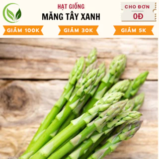 Hạt Giống Măng Tây Xanh - Chất Lượng Cao, Dễ Trồng, Năng Suất Tốt