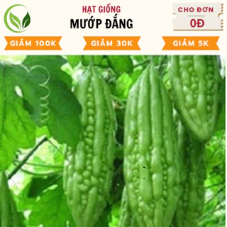 Hạt Giống Mướp Đắng  - Chất Lượng Cao, Dễ Trồng, Năng Suất Tốt