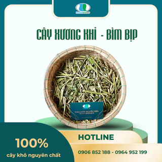 Cây Xương Khỉ ( Bìm Bịp, Mãnh Cộng ), loại cây hỗ trợ Gan, xương khớp, điều hòa huyết áp | Nguyễn Trần Coop