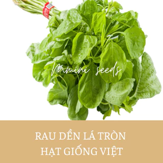 10 gr hạt giống rau dền xanh Việt Nam